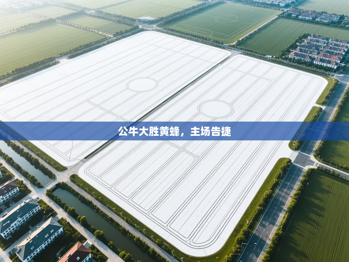 公牛大胜黄蜂，主场告捷  第1张